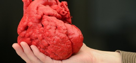 Un joven biólogo recrea órganos en 3D que permiten emular operaciones quirúrgicas