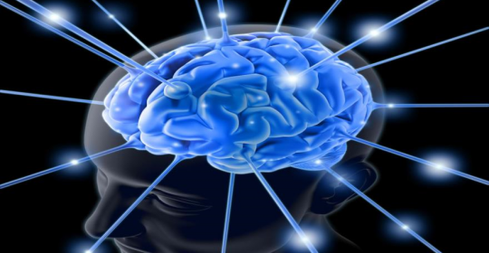 Una puerta abierta al interior del cerebro.