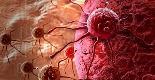 La Inmuno Oncologia el futuro de los tratamientos contra el cáncer