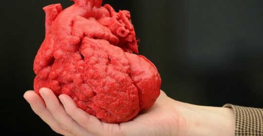 Un joven biólogo recrea órganos en 3D que permiten emular operaciones quirúrgicas