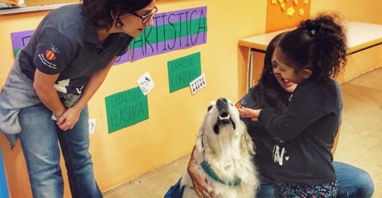 Los perros, nuevos ayudantes en la inclusión de alumnos en riesgo de exclusión