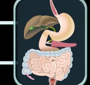 Tumores de tipo neuroendocrino