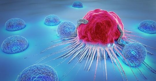 Uno de cada tres españoles padecerá cáncer a lo largo de su vida