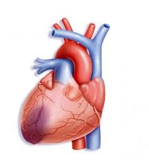 Beneficios de la resonancia magnética para pacientes con infarto agudo de miocardio