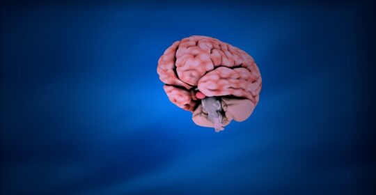 Secuelas neurológicas de la COVID-19 y un posible desarrollo de Alzheimer