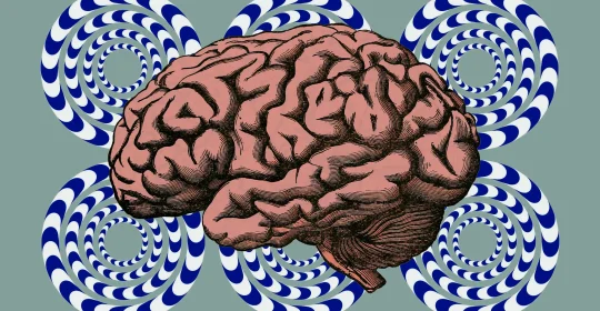 Descubren nuevos datos sobre el cerebro con la resonancia magnética de 10,5 teslas