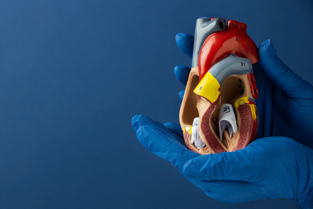 La resonancia magnética cardíaca revela daños ocultos en pacientes con cardiopatía laminosa