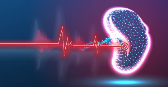 Resonancia magnética renal: una herramienta no invasiva que impulsa la nefrología de precisión